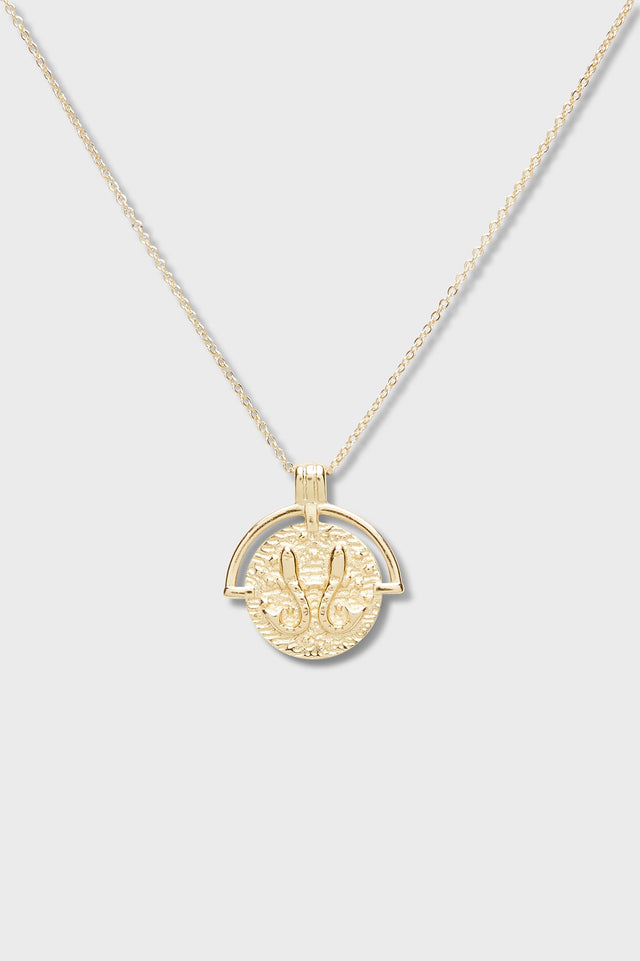 Astrology Necklace - Pisces